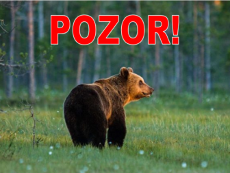POZOR - medveď hnedý